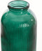 Light&living Vaas Ø30x70 cm CAMPOS glas donker groen
