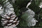 Kerstboom DKD Home Decor LED Licht Groen Metaal Polyethyleen 130 x 130 x 218 cm