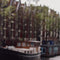Customize it - Tuinschilderij bloemengracht 130x70