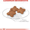 Royal Canin Mini Adult - Hondenbrokken - 8 KG