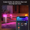 Philips Hue Calla - Sokkellamp - Wit en gekleurd licht - RVS