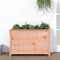 vidaXL - Plantenbak - verhoogd - 119,5x40x78 - cm - massief - douglashout