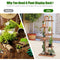 Coast Houten Plantenstandaard - Vrijstaand Plantenrek 6 Planken - 50 x 21 x 124 cm - Bruin