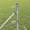vidaXL - Hekpalen - met - Spike - 13 - stuks - Ø32 - mm - 60 - cm - Gegalvaniseerd - staal