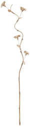 Tak Beige Bloem 27 x 27 x 170 cm