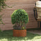 vidaXL - Corten - Stalen - Plantenbak - Corten - staal - Corten - Staal - Middelgroot