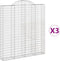vidaXL - Schanskorven - 3 - st - gewelfd - 200x30x220/240 - cm - ijzer