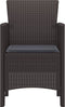 vidaXL - Tuinmeubels - met - Kussens - 2 - stuks - Bruine - Poly - Rattan
