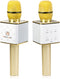 Technaxx BT-X31 - Karaoke microfoon - Bluetooth met 2 luidsprekers - Goud