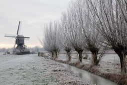 Customize it - Tuinschilderij knotw winter 70x50cm