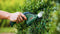 Bosch EasyShear - Grastrimmer - Buxusschaarmes 12 cm - Grasschaarmes 8 cm