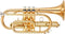 Yamaha Cornet YCR-4330 GII