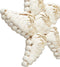 De Ster Shell - Wit - L