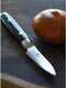 Yaxell Ran Schilmes 8 cm - 69 Lagen Damaststaal - VG10 Staal - 61 HRC - Canvas-Micarta Heft