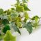 Mica Decorations Hedera - Kunst Hangplant - H71 cm - Groen Bont