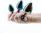 REAR ASSETS TRAINER KIT MULTICOLOR RAINBOW