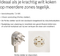 BOSCH PIE631HC1M - Inductie kookplaat - 4 kookzones - Zwart