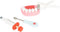 Small Foot - Houten Dokter en Tandarts 2in1 Set in Koffer