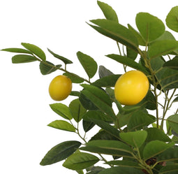 vidaXL - Kunstcitroenboom - met - 3 - stammen - 85 - cm - polypropeen - groen