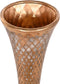 Vaas Home ESPRIT Gouden Metaal 15 x 15 x 77 cm