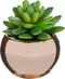 Atmosphera - Keramische Potplant - Kunsplant - Roze pot - H15cm