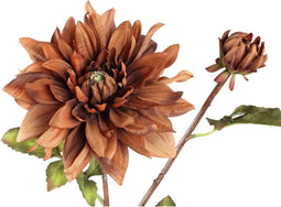 PTMD Dahlia Kunstbloem - 25 x 30 x 75 cm - Kunststof - Bruin