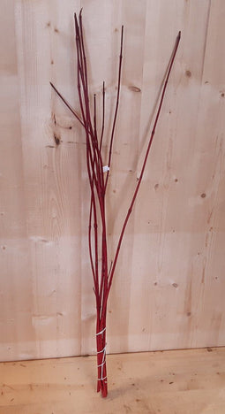 4 stuks Kerstgroen rode takken Cornus