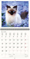 2026 Kalender schrijven 30 x 30 katten - gratis 2025