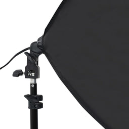vidaXL - Fotostudioset - met - softboxlampen - en - achtergronden