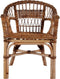 vidaXL - Tuinstoel - natuurlijk - rattan - bruin