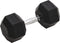 vidaXL - Halters - 27,5 - kg - gietijzer