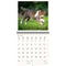 2026 Kalender schrijven 30 x 30 katten - gratis 2025