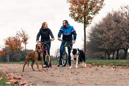 Yedoo Dog Adapter 25.4 Voor Yedoo Dragstr, Rodstr, Friday, Mezeq, Mula, City, S2016, S1616,