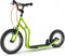 Yedoo Step Wzoom, Groen