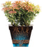 Elho Loft Urban Rond 50 - Bloempot - Ø 48.5 x H 44.5 cm - Warm grijs