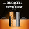 Duracell Alkaline Batterijen Plus AAA - 12 stuks