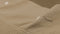 Yellow Dekbedovertrek Cialda - Eenpersoons - 140x200/220 cm - Pale Khaki