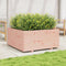 vidaXL - Plantenbak - 100x100x49,5 - cm - massief - douglashout