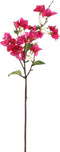 PTMD Garden Flower fuchsia bougainvillea tak