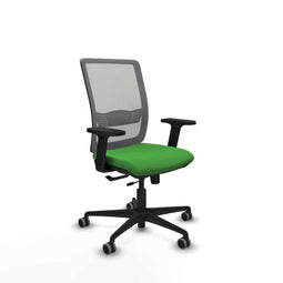 Haches Traslack Piqueras y Crespo 2D036G0 - Bureaustoel - Verstelbare hoogte met armleuning - Groen
