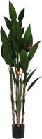 Decoratieve plant DKD Home Decor (90 x 90 x 200 cm)