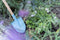 Little Dutch LD9118 - Schep - Houten handvat - Blauw