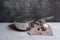 Saveur Selects Voyage - Steelpan 20 cm - Tri-ply RVS - PFAS-vrij - Ovenbestendig tot 260°C - Vaatwasserbestendig