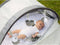 Bo Jungle Speeltent Baby - Pop Up tent UV-werend - Muggengaas - 3 afneembare speeltjes - Uitneembare matras - Opbergzak - Grijs