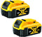 DeWalt DCB184P2-XJ - Accu Pack 18V - 5.0Ah Li-Ion - (2 stuks)