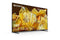 Sony BRAVIA XR-75X90L - 4K HDR - Full Array LED - Google - Eco Pack - BRAVIA Core - Perfect voor PlayStation 5