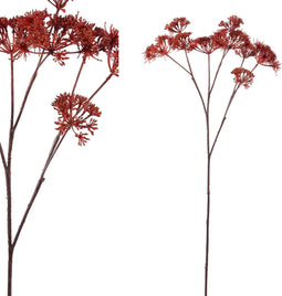 PTMD garden bloem bruin queen anne's lace tak