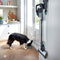 Bissell Icon Pet 2602D - Kruimelzuiger - Draadloos 25V - 0,4L