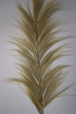 Decoratieve veer - 65x2x220 - Naturel - Bamboe