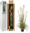 Mica Decorations pluimgras in plastic pot maat in cm: 150 x 45